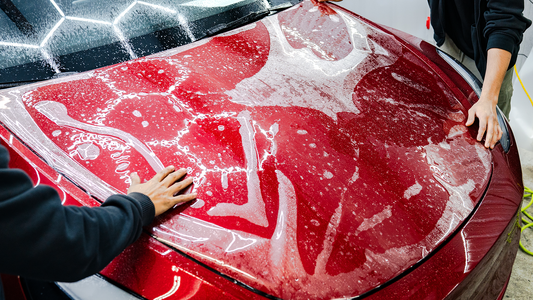 PAINT PROTECTION FILM